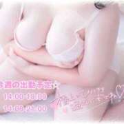 ヒメ日記 2026/02/03 20:02 投稿 めい 所沢東村山ちゃんこ