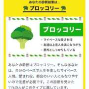 めい 前世、、？ 所沢東村山ちゃんこ