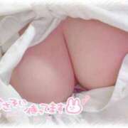 めい いるよ(◜﹏◝) 所沢東村山ちゃんこ