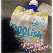 ヒメ日記 2026/01/22 07:30 投稿 めい 西東京市小平ちゃんこ