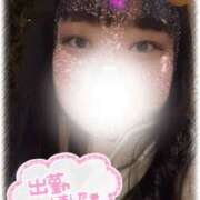 ヒメ日記 2026/01/29 14:00 投稿 めい 西東京市小平ちゃんこ