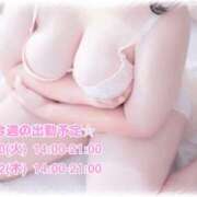 ヒメ日記 2026/02/10 08:01 投稿 めい 西東京市小平ちゃんこ