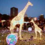 ヒメ日記 2025/12/04 20:08 投稿 アリス秘書 秘書の品格 クラブアッシュ ヴァリエ