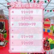 アリス秘書 🈳枠のお知らせ📢 秘書の品格 クラブアッシュ ヴァリエ