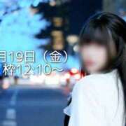 ヒメ日記 2025/12/17 22:16 投稿 アリス秘書 秘書の品格 クラブアッシュ ヴァリエ