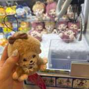 ヒメ日記 2026/02/01 07:56 投稿 らん☆明日初登校！！ JKサークル