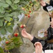 ヒメ日記 2026/02/27 13:01 投稿 らん☆明日初登校！！ JKサークル