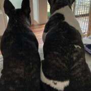 ヒメ日記 2026/03/05 13:01 投稿 らん☆明日初登校！！ JKサークル