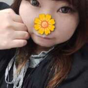 ヒメ日記 2026/02/23 15:49 投稿 なる 白いぽっちゃりさん五反田店