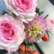 ヒメ日記 2025/11/07 08:18 投稿 琥珀 丸妻 西船橋店