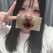 とこ☆癒しとエロの二刀流♪ 今日いるよ🩵 妹系イメージSOAP萌えフードル学園 大宮本校