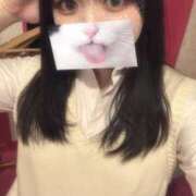 ヒメ日記 2026/04/20 20:15 投稿 とこ☆癒しとエロの二刀流♪ 妹系イメージSOAP萌えフードル学園 大宮本校