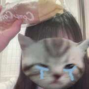 ヒメ日記 2026/06/10 00:01 投稿 とこ☆癒しとエロの二刀流♪ 妹系イメージSOAP萌えフードル学園 大宮本校