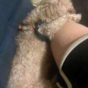 ヒメ日記 2025/11/06 21:55 投稿 清水 鶯谷デッドボール