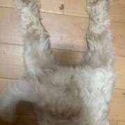 ヒメ日記 2025/11/15 08:29 投稿 清水 鶯谷デッドボール