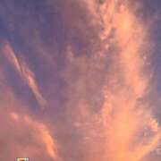 ヒメ日記 2025/11/29 12:39 投稿 清水 鶯谷デッドボール