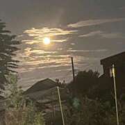 ヒメ日記 2025/11/30 20:59 投稿 清水 鶯谷デッドボール