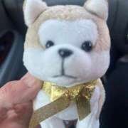 ヒメ日記 2025/12/30 09:51 投稿 清水 鶯谷デッドボール