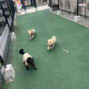 ヒメ日記 2026/02/06 01:19 投稿 清水 鶯谷デッドボール