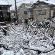 ヒメ日記 2026/02/08 17:34 投稿 清水 鶯谷デッドボール