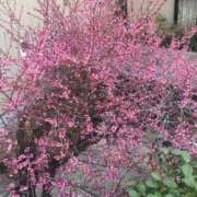 ヒメ日記 2026/02/24 08:53 投稿 清水 鶯谷デッドボール