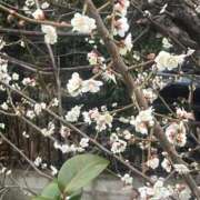 ヒメ日記 2026/02/27 10:29 投稿 清水 鶯谷デッドボール