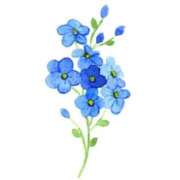 ヒメ日記 2026/04/13 18:12 投稿 清水 鶯谷デッドボール