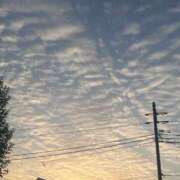 ヒメ日記 2026/04/14 08:39 投稿 清水 鶯谷デッドボール