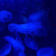 ヒメ日記 2026/04/21 08:32 投稿 清水 鶯谷デッドボール