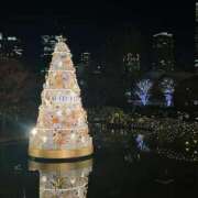 ヒメ日記 2025/12/03 22:37 投稿 のぞみ【潮吹きGカップ美女】 STELLA TOKYO－ステラトウキョウ－