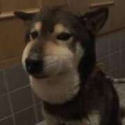 ヒメ日記 2026/01/09 22:10 投稿 のぞみ【潮吹きGカップ美女】 STELLA TOKYO－ステラトウキョウ－