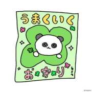 ヒメ日記 2026/02/05 22:09 投稿 のぞみ【潮吹きGカップ美女】 STELLA TOKYO－ステラトウキョウ－