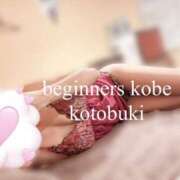 ことぶき 長くなりました💡 ビギナーズ神戸