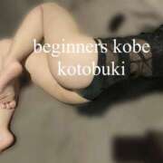 ことぶき カメレオン🦎 ビギナーズ神戸