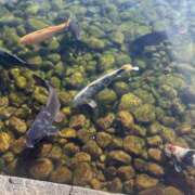 ヒメ日記 2026/03/17 22:17 投稿 ことぶき ビギナーズ神戸