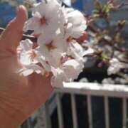 杉浦 あやの キレイ✨ セカンドパートナー池袋