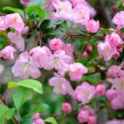 ヒメ日記 2026/10/02 08:05 投稿 菜月（なつき）★穏やかな可愛い系 BITEKI