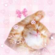 近野(こんの) 明日も出勤します💕 人妻最後の砦 小山店