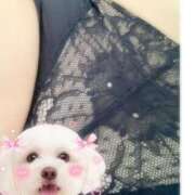 ヒメ日記 2026/04/03 10:00 投稿 近野(こんの) 人妻最後の砦 小山店