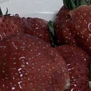 ヒメ日記 2026/02/22 00:42 投稿 星川なつは ワイフセレクション