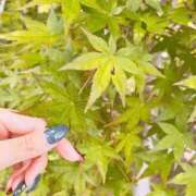 ヒメ日記 2026/05/15 09:25 投稿 美浜 ゆりん LIMIT BREAK 錦糸町