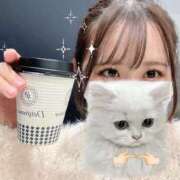 ヒメ日記 2025/11/20 08:30 投稿 らん チェックイン横浜女学園