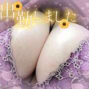 ヒメ日記 2025/11/22 11:02 投稿 ひろみ 丸妻 新横浜店