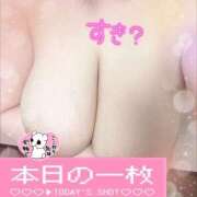 ヒメ日記 2025/11/26 11:33 投稿 ひろみ 丸妻 新横浜店