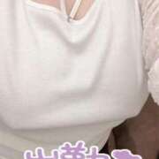 ヒメ日記 2025/11/27 11:53 投稿 ひろみ 丸妻 新横浜店