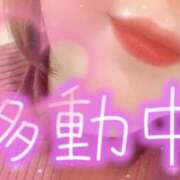 ヒメ日記 2026/01/28 12:18 投稿 ひろみ 丸妻 新横浜店