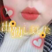 ヒメ日記 2026/02/12 15:59 投稿 ひろみ 丸妻 新横浜店