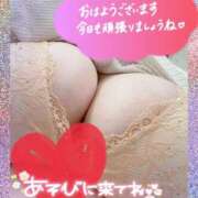 ヒメ日記 2026/03/13 10:46 投稿 ひろみ 丸妻 新横浜店