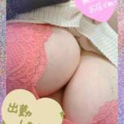 ヒメ日記 2026/04/23 12:06 投稿 ひろみ 丸妻 新横浜店