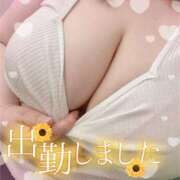 ヒメ日記 2026/07/08 16:51 投稿 ひろみ 丸妻 新横浜店